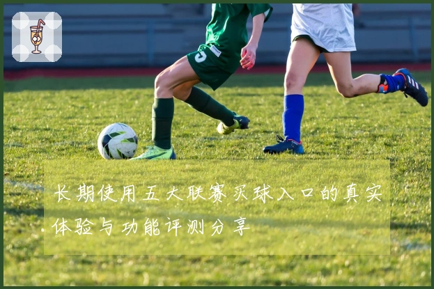 长期使用五大联赛买球入口的真实体验与功能评测分享