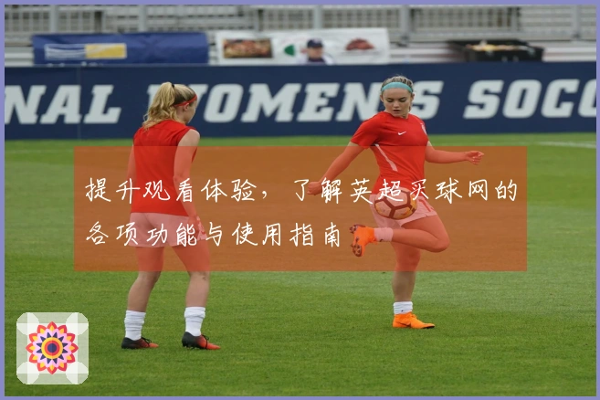 提升观看体验，了解英超买球网的各项功能与使用指南