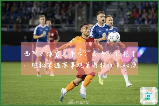 西甲买球官方平台：新手入门指南，轻松掌握赛事观看与投注基础操作