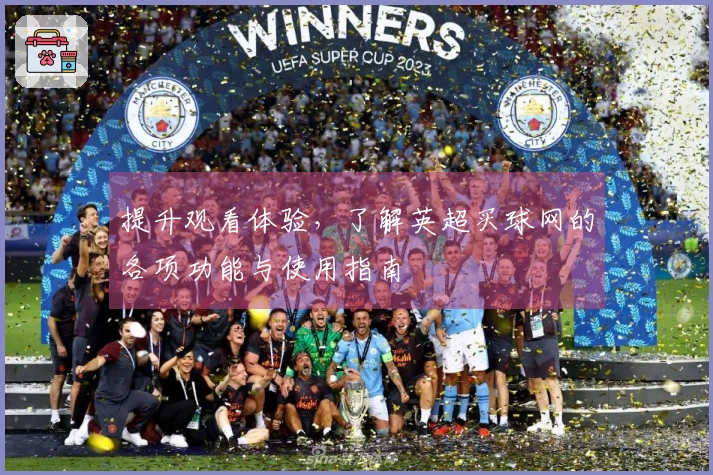 提升观看体验，了解英超买球网的各项功能与使用指南